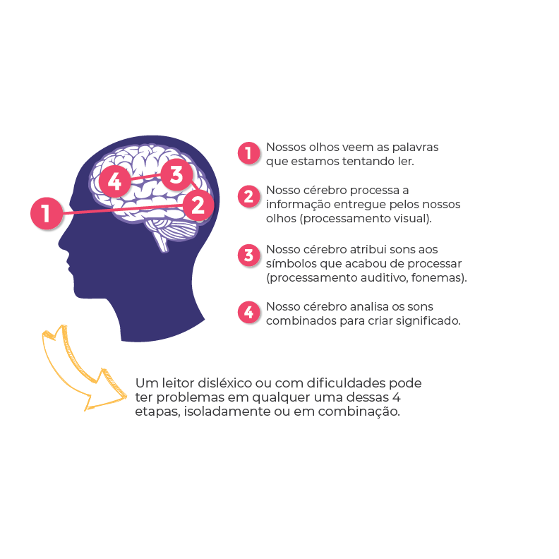 Reading brain